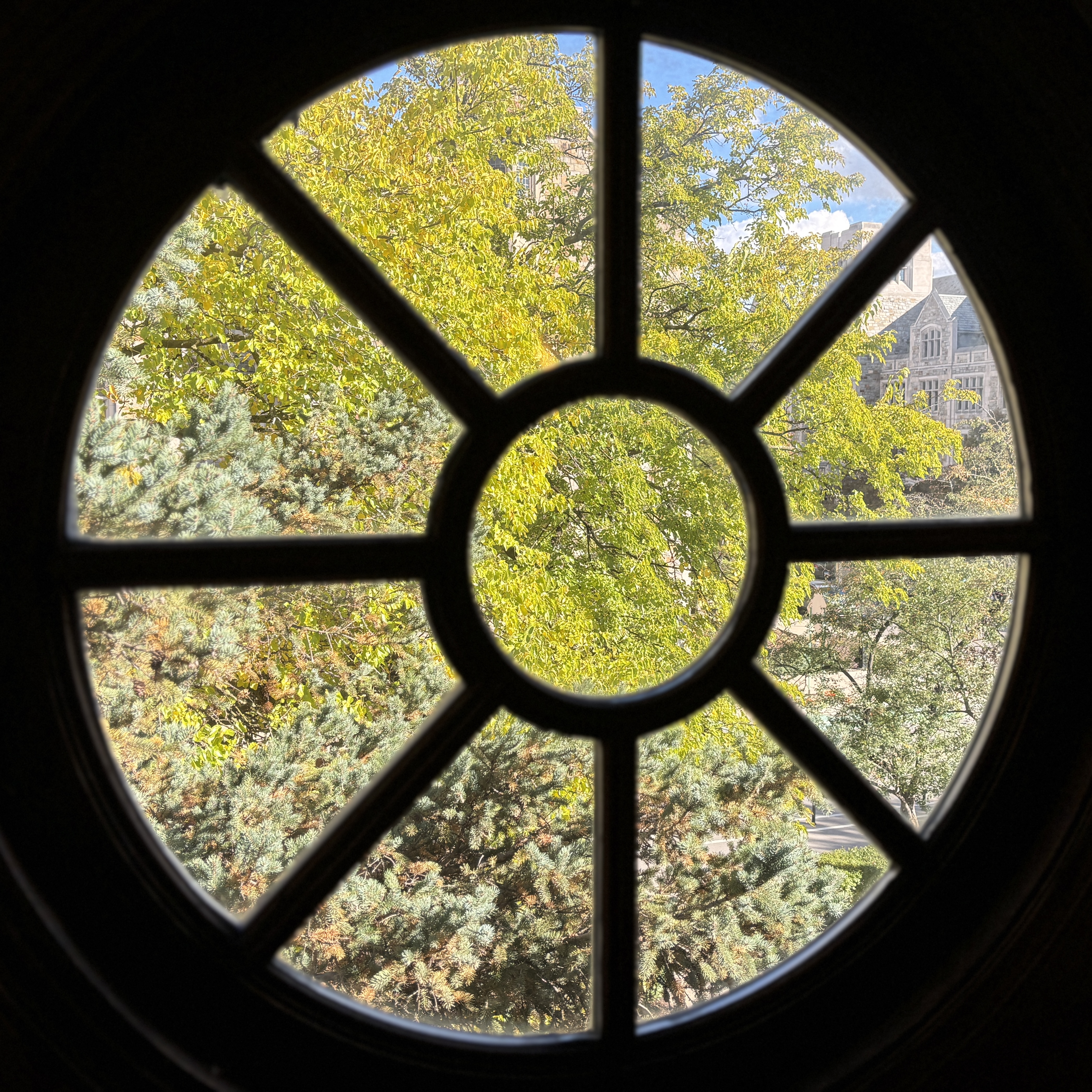 Photography 8