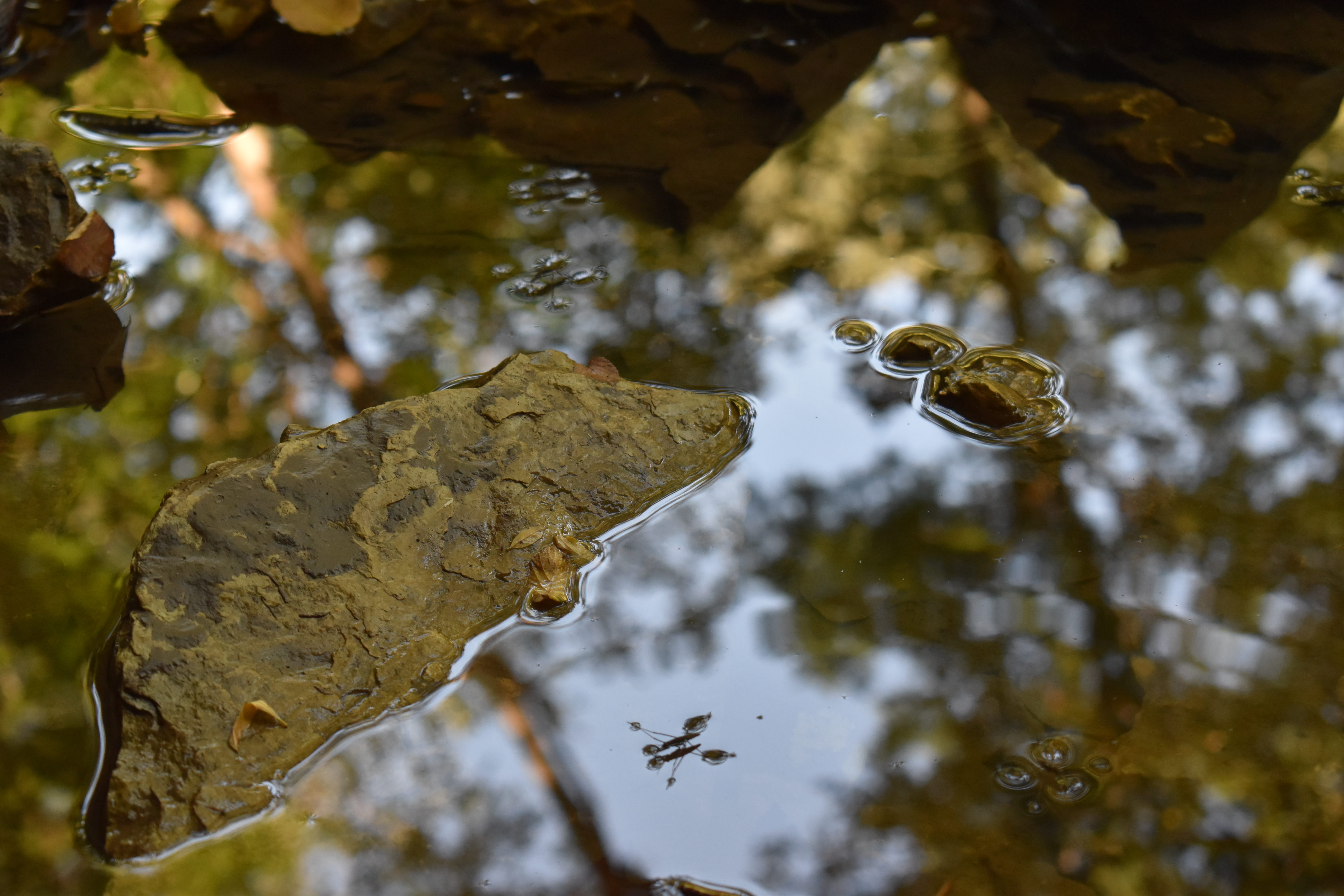 Photography 19